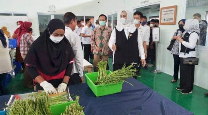Karawang Dipilih sebagai Pilot Project Program Pengembangan Hortikultura Kementan