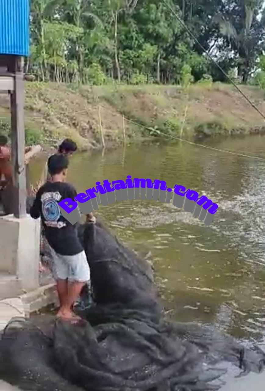 Masyarakat Borima Tangkasa Meminta Pemda setempat untuk membantu mengembangkan budidaya ikan