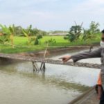 Empat Anak Bermain di Saluran Irigasi Pangandaran, Satu Orang Tewas Tenggelam
