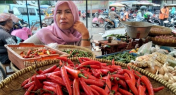 Harga Cabe di Cirebon Meroket, Penyebabnya Gagal Panen