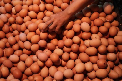 Harga Telur Ayam di Bekasi Merangkak Naik, Ini Catatan Pemkot Bekasi