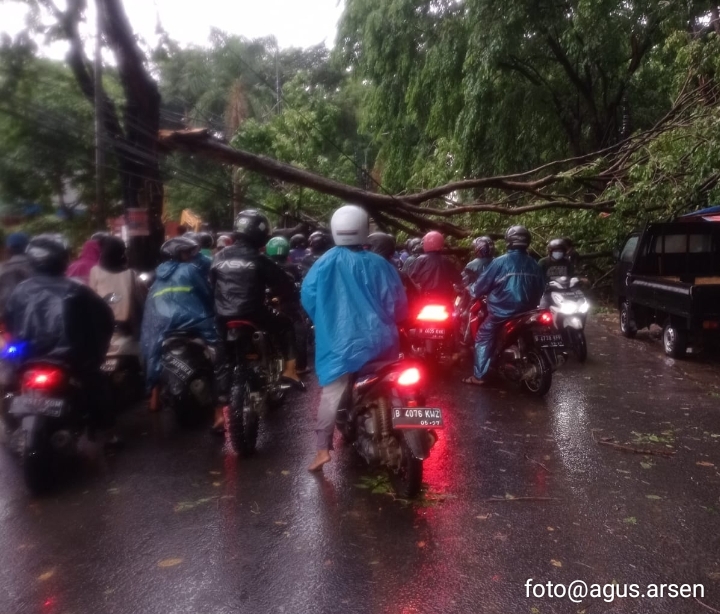 Pohon Tumbang Melintang, Tutup Akses Jalan Kaliabang Bungur Kota Bekasi