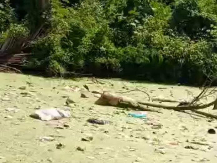 Warga Desa Karang Sentosa Bekasi Digegerkan Penemuan Mayat Nenek Mengapung di Empang