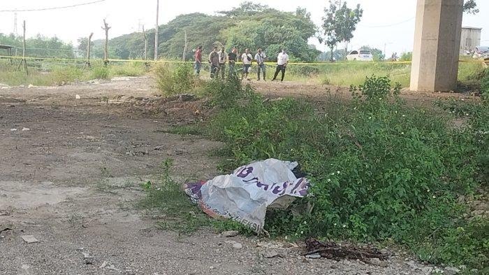 Dikerumuni lalat, Mayat dalam Karung di Kolong Tol Cibitung-Cilincing Jakut Bikin Geger Warga