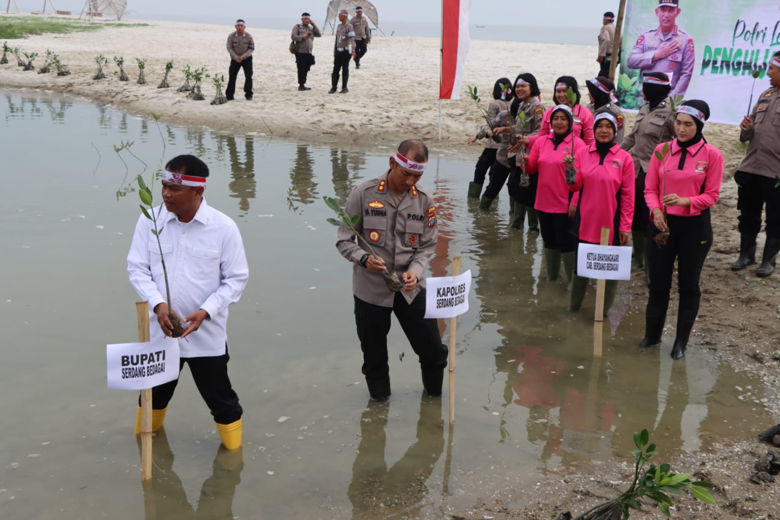 Kapolres Bersama Bupati Sergai Pimpin Penanaman Manggrove Serentak