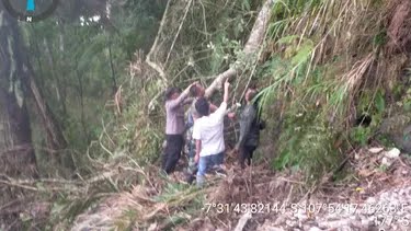 Tragis! 4 Pemburu Burung di Hutan Garut, Tewas tertimpa Pohon Tumbang saat Berteduh