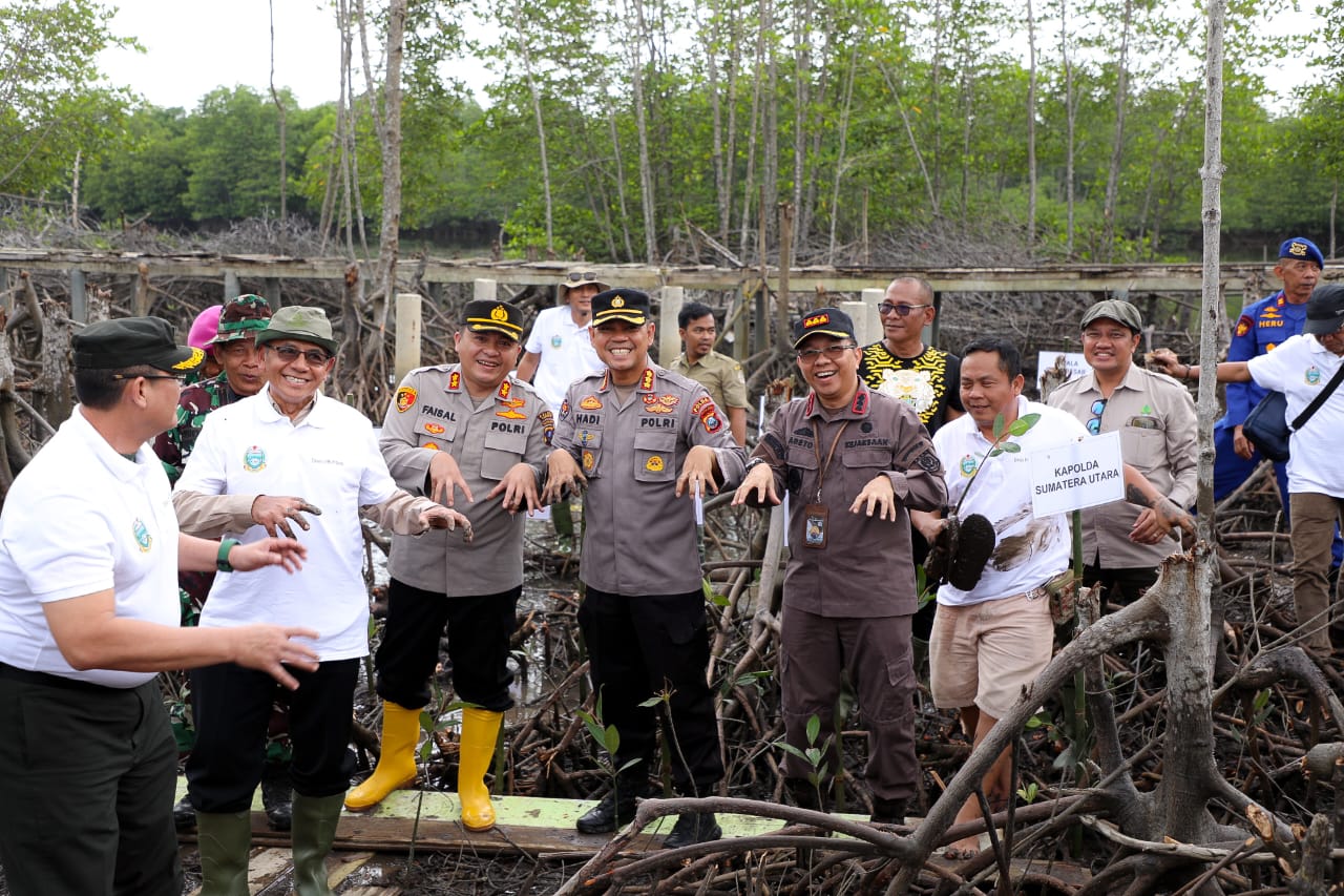 Polda Sumut Dan Pemprov Tanam 10 Ribu Pohon Mangrove Di Pesisir Langkat