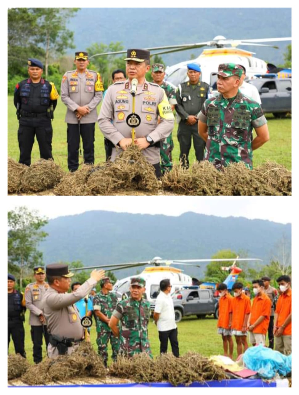 Kapoldasu dan Pangdam I/BB Pimpin Operasi Perburuan Ladang Ganja Terluas di Pulau Sumatera