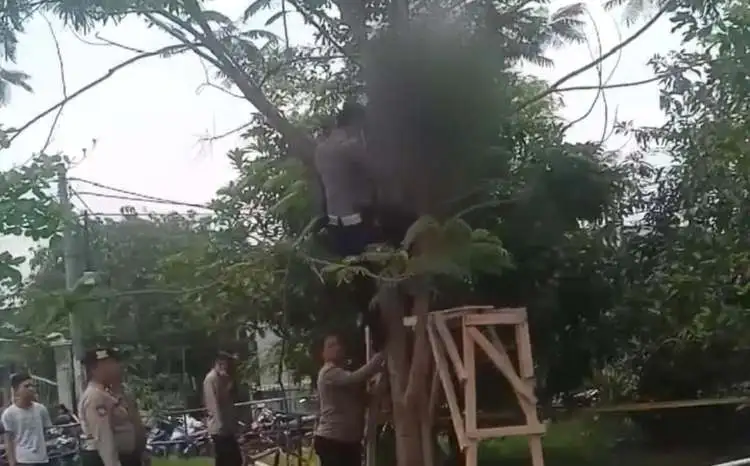 Seorang Remaja di Bekasi Ditemukan Tewas Gantung Diri di Pohon Petai