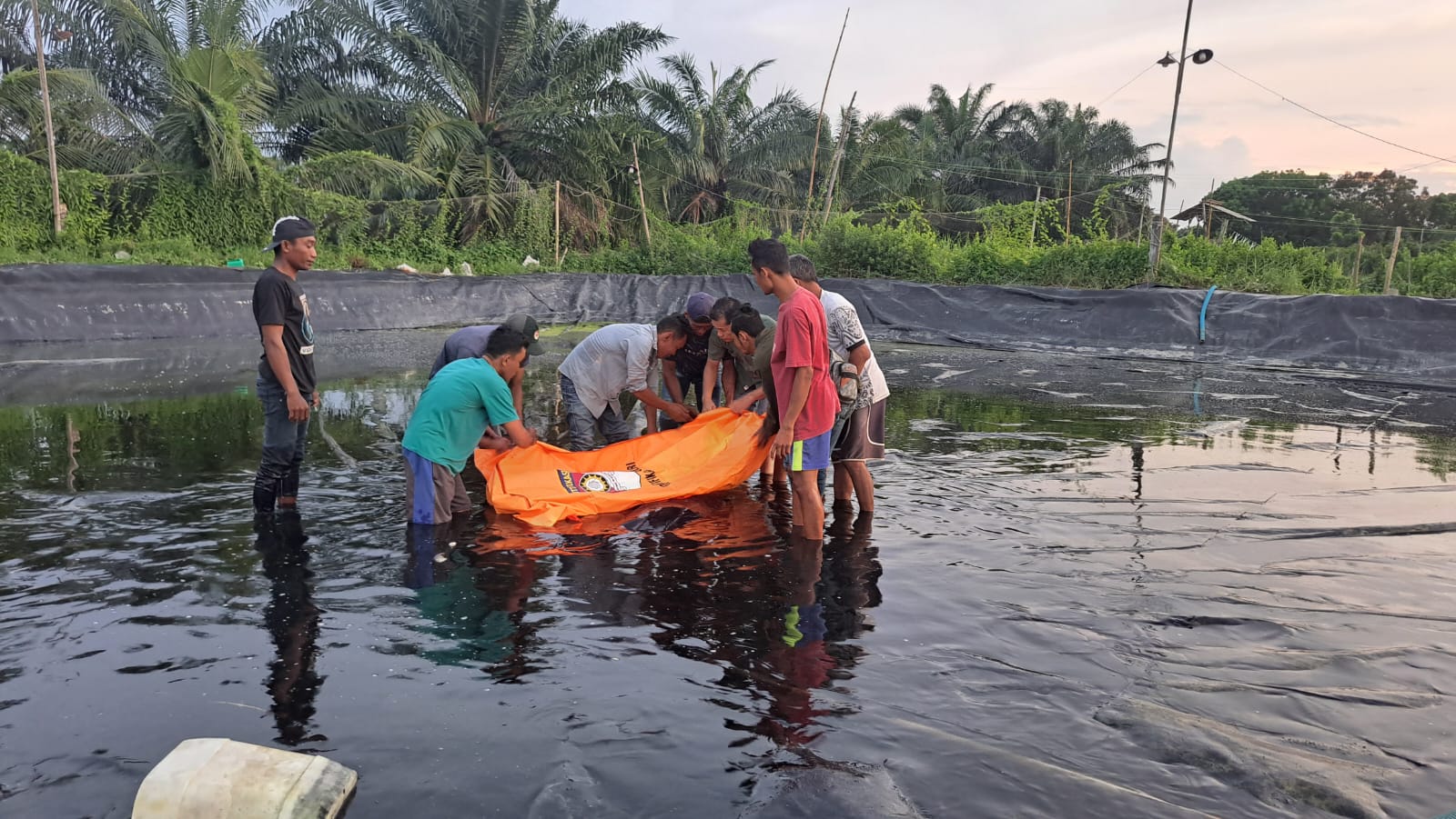 Warga Sergai Ditemukan Tewas Mengambang Di Kolam Tambak Udang