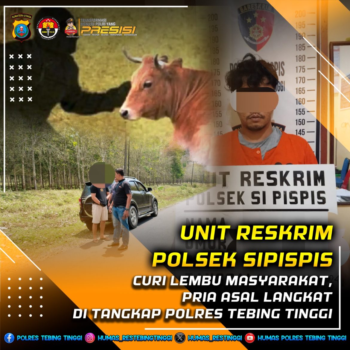 Polres Tebing Tinggi Tangkap Pelaku Pencuri Lembu Asal Langkat