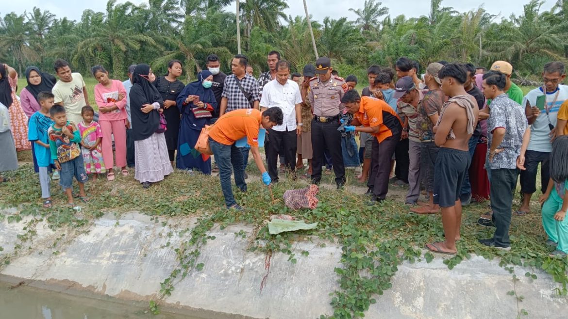 Kapolsek Medang Deras AKP Abdi Tansar, S.H, M.H Cek Lokasi Temuan Mayat Bayi Perempuan