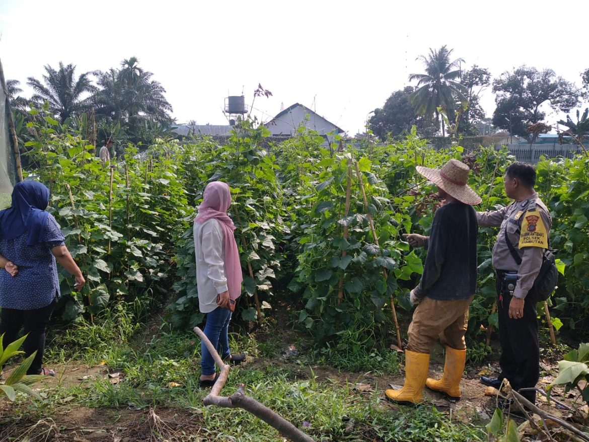 Bhabinkamtibmas Polres Tebing Tinggi Kunjungi Kelompok Tani Gempita