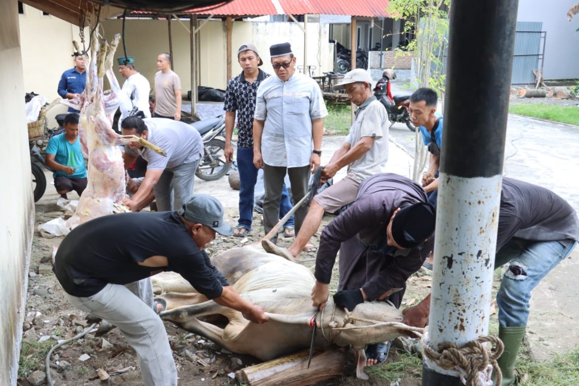 Idul Adha, Polres Tebing Tinggi Sembelih 34 Ekor Hewan Ternak