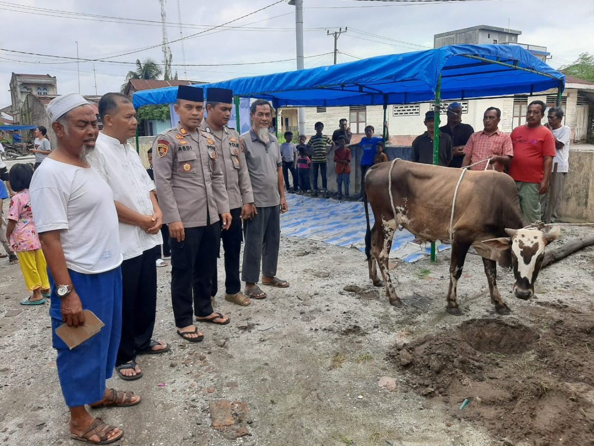 Idul Adha 1445 H, Kapolsek Medang Deras AKP Abdi Tansar, S.H, M.H Sembelih Hewan Qurban