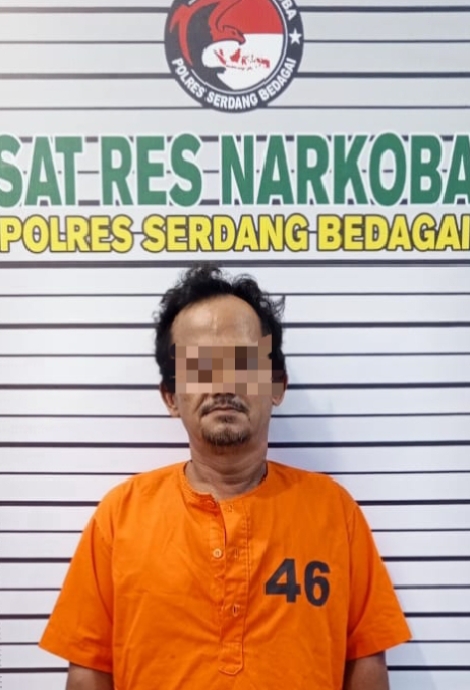 Sat Narkoba Polres Sergai Tangkap Pengedar Ganja