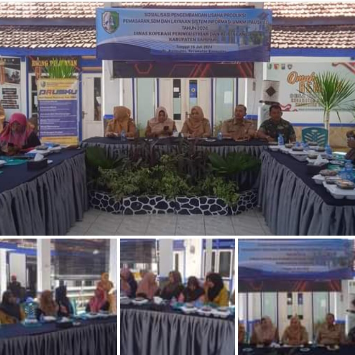 Sosialisasi Pembangunan Usaha Produksi Dan Pemasaran Layanan Sistem Informasi UMKM (PAUSKU) Th.2024.