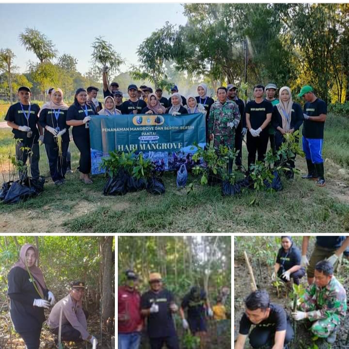 Pemdes Banyuates Bersama Forkopincam Dan DPC Ormas MADAS Sampang Serta Mahasiswa UTM Gelar Penanaman Pohon Mangrove di Pantai Banyuates