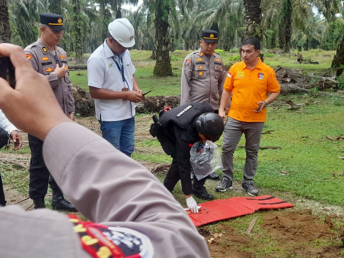 Kapolsek Sipispis AKP Syamsul Arifin Batubara, S.E, M.Si Cek Temuan Granat MK 5