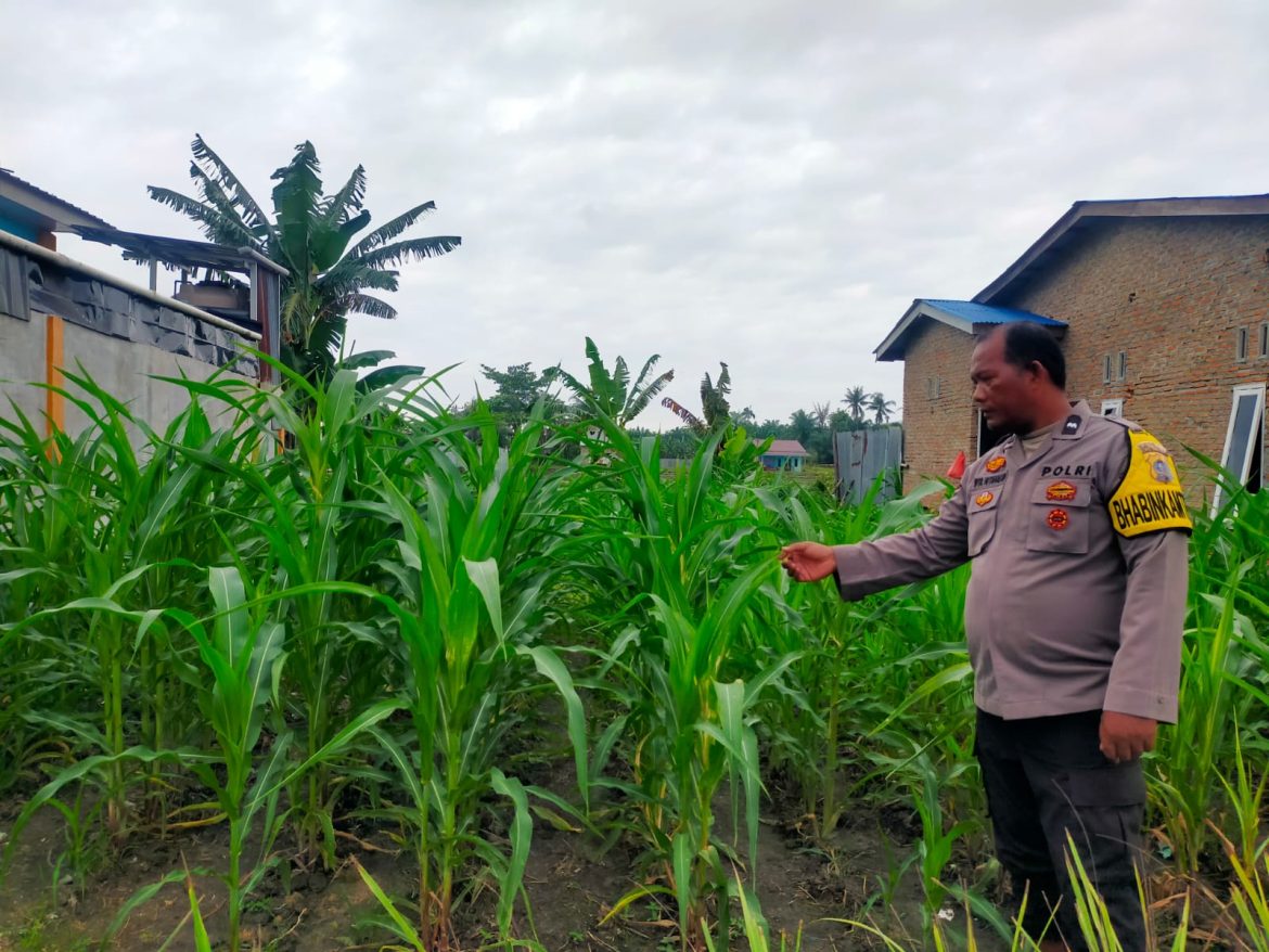 Dukung Asta Cita, Polsek Medang Deras Binluh dan Sambang Petani