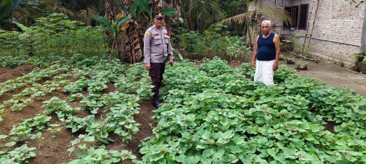 Polsek Labuhan Ruku Ajak Masyarakat Perkuat Ketahanan Pangan