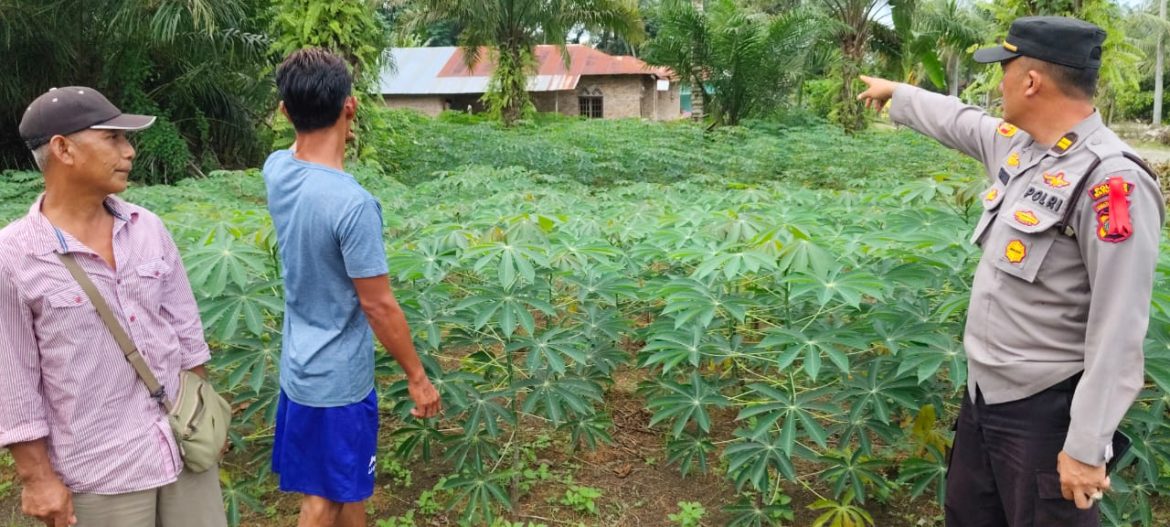 Dukung Ketapang, Polsek Labuhan Ruku Ajak Masyarakat Manfaatkan Lahan Kosong