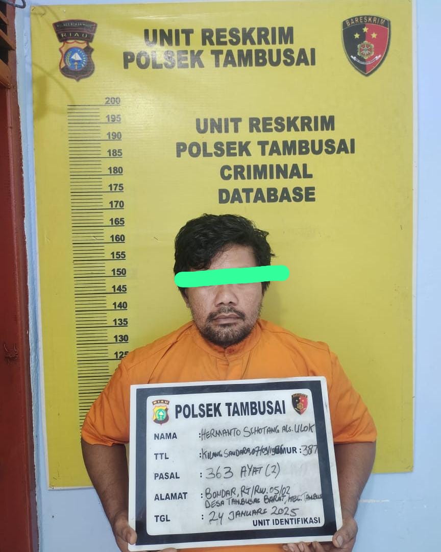 Polsek Tambusai Berhasil Ungkap Kasus Pencurian dengan Pemberatan, Pelaku Diamankan Bersama Barang Bukti