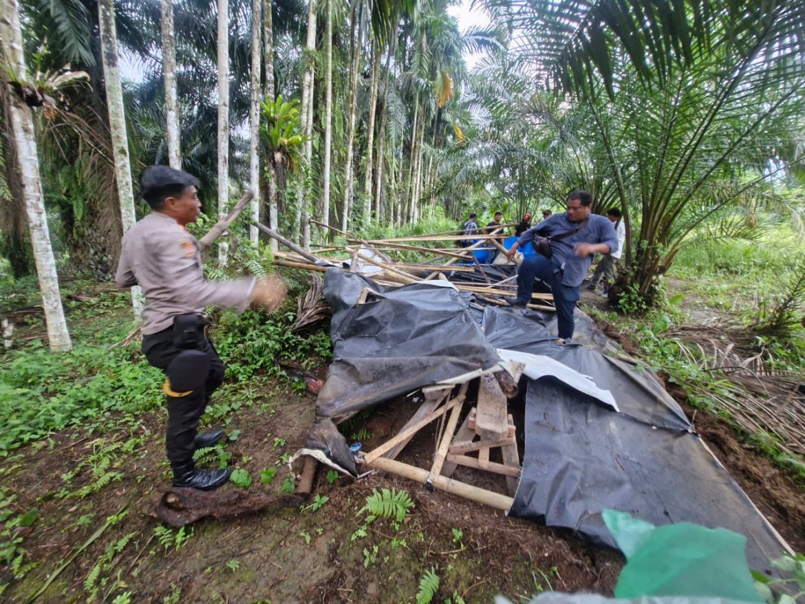 Kapolsek Pancur Batu Pimpin Penggerebekan Narkoba, di Desa Hulu dua orang Pengguna diamankan