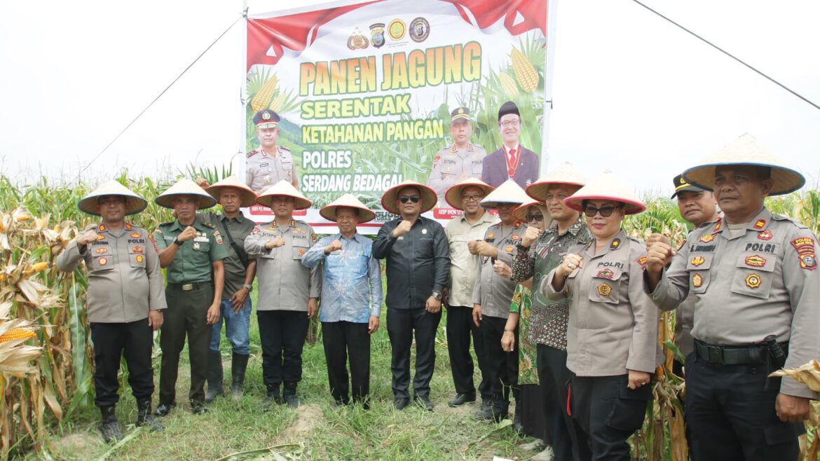 Kapolres Sergai Bersama Forkopimda Panen Raya Jagung Serentak Kuartal II Tahun 2025