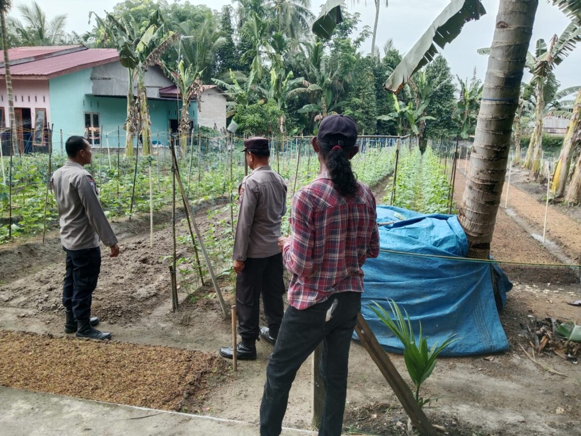 Sat Binmas Polres Batu Bara Pengecekan Program Ketahanan Pangan