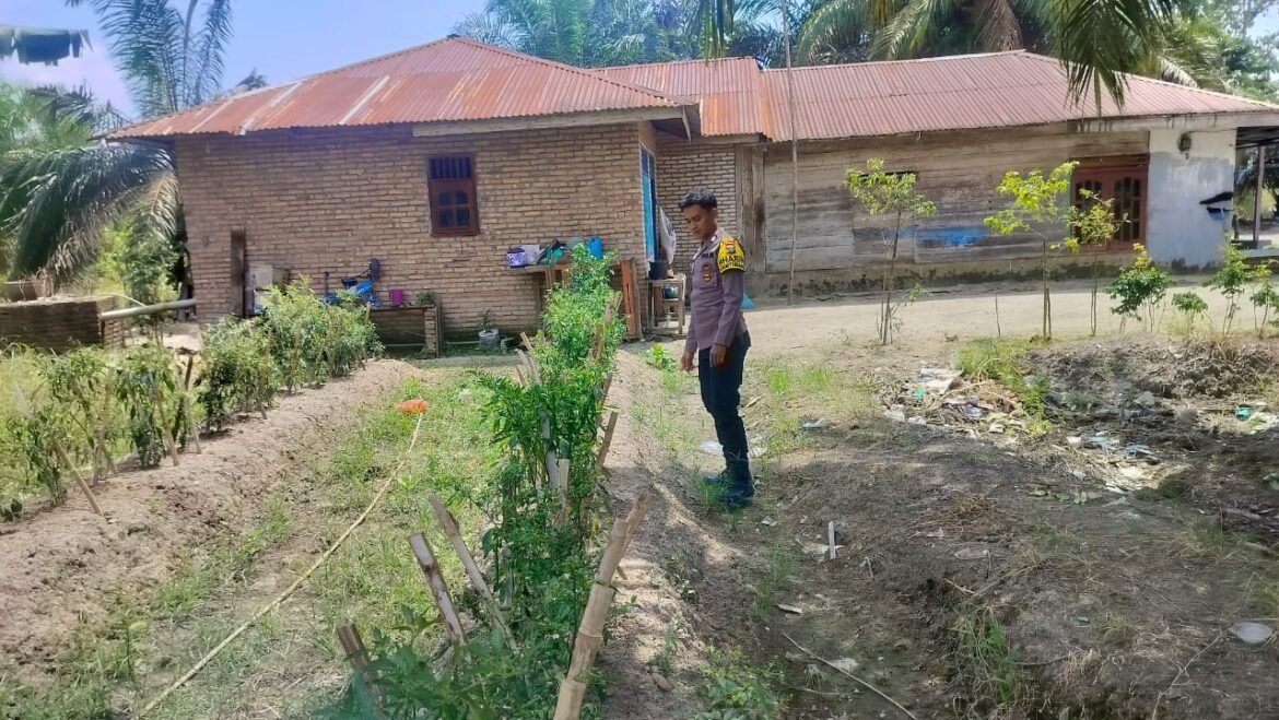 Polsek Medang Ajak Warga Manfaatkan Pekarangan Kosong dengan Tanaman Bergizi
