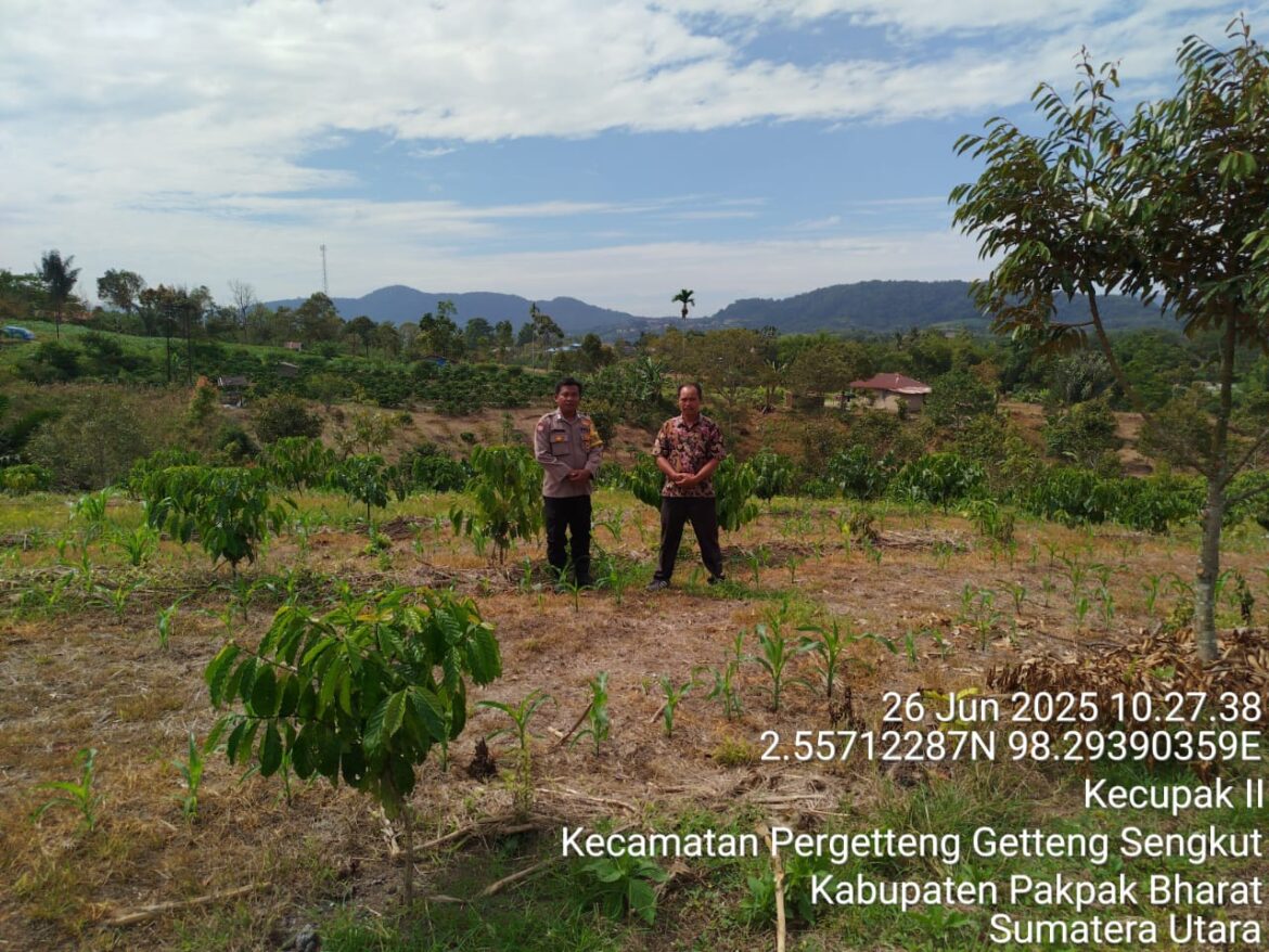 Pemanfaatan Pekarangan Pangan Bergizi Dan Lahan Produktif Dukung Ketahanan Pangan Di Kabupaten Pakpak Bharat