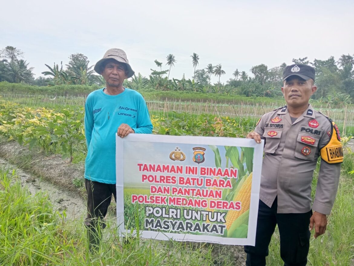 Dukung Ketapang Polsek Medang Deras Ajak Warga Manfaatkan Pekarangan Kosong