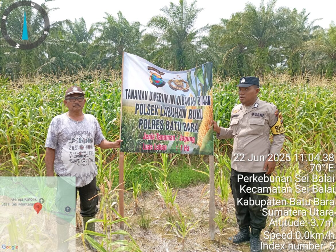 Dukung Asta Cita Polsek Labuhan Ruku Cek Lahan Ketahanan Pangan