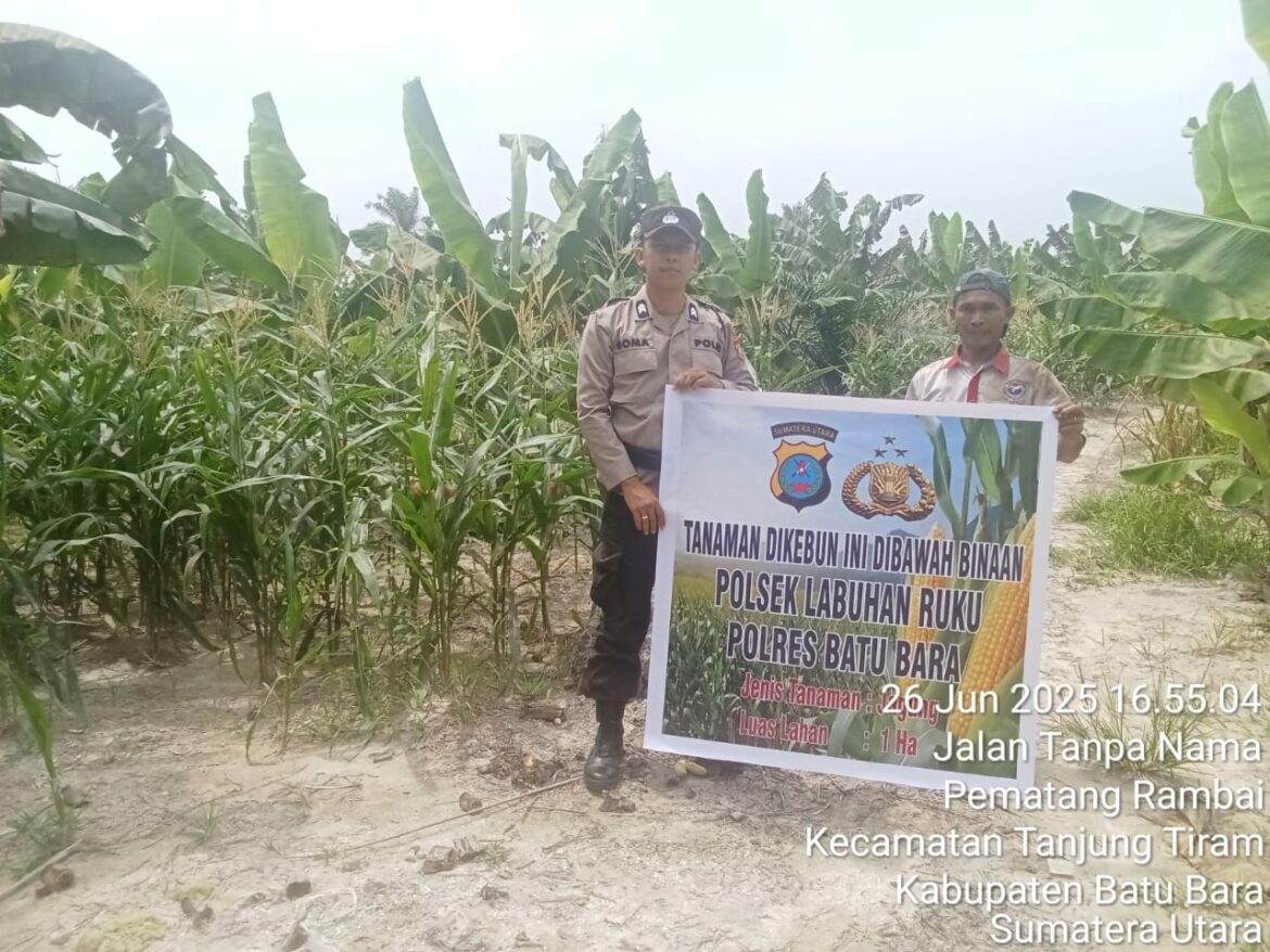 Polsek Labuhan Ruku Cek Lahan Pekarangan Kosong, Ajak Masyarakat Dukung Ketapang