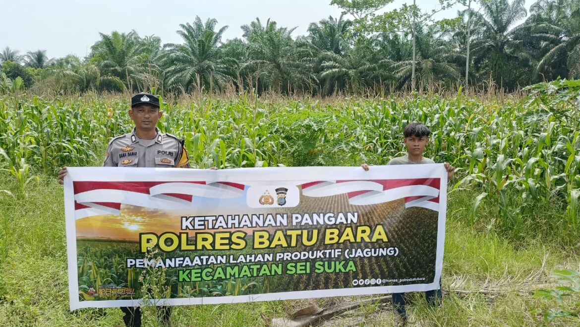 Bhabinkamtibmas Polsek Indrapura Koordinasi Lahan Ketahanan Pangan