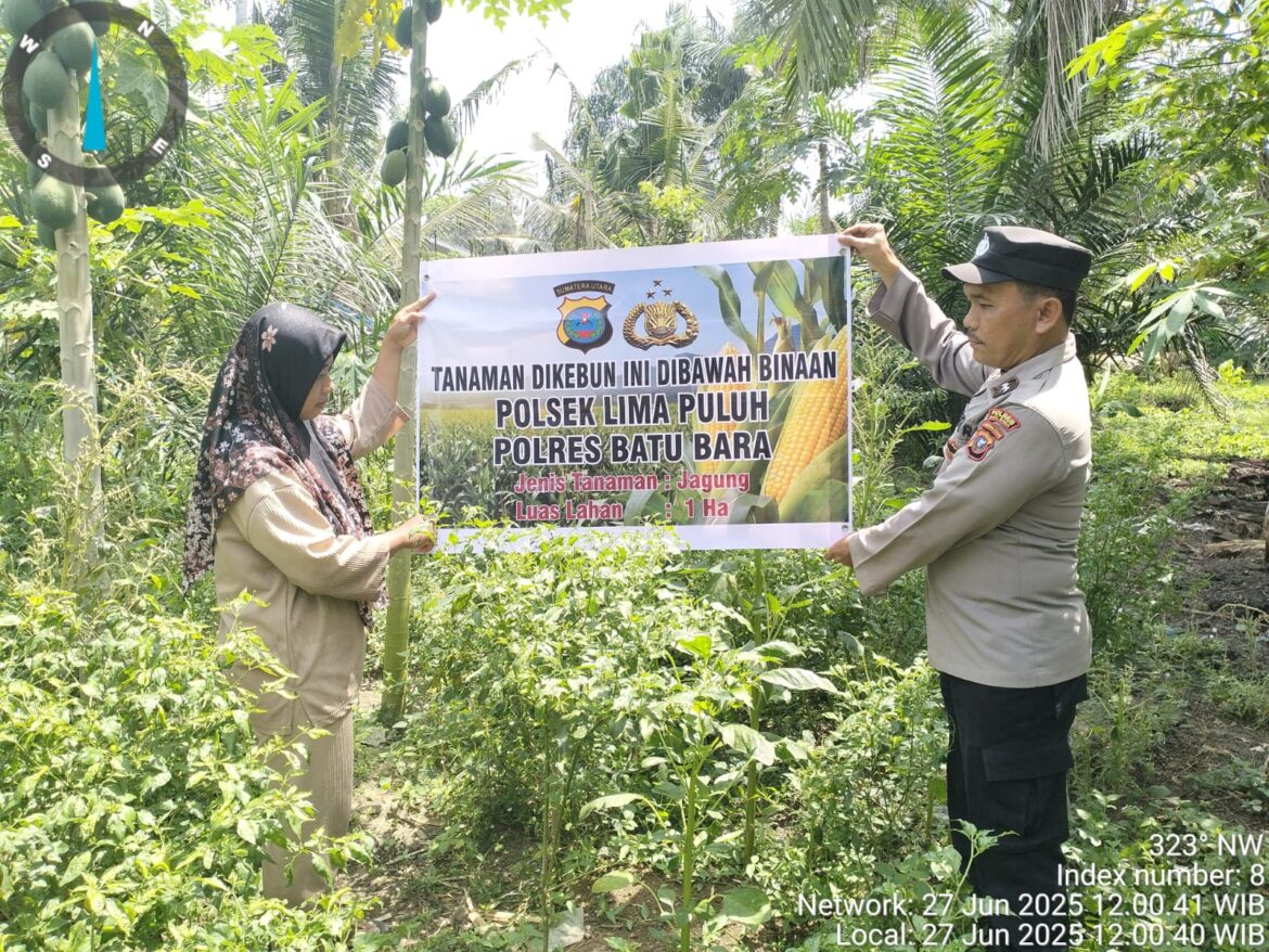 Polsek Lima Puluh Cek Lahan Percontohan Ketahanan Pangan
