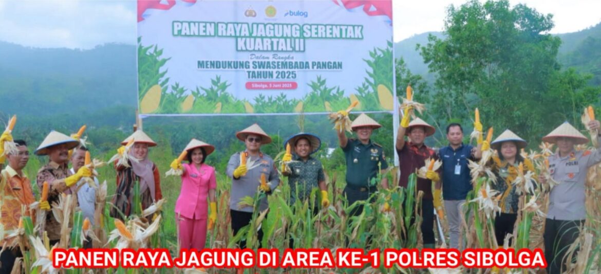 Polres Sibolga Dan Forkopimda Panen Raya Jagung Serentak Kuartal II Tahun 2025