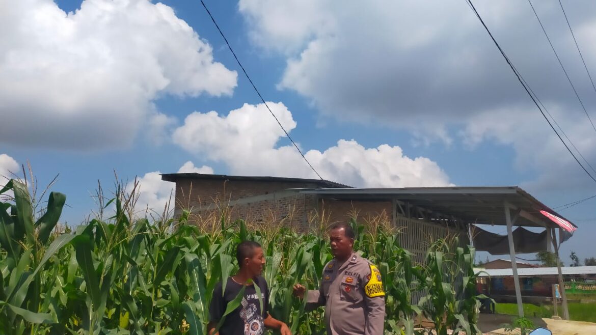 Polsek Medang Deras Koordinasi Lahan Ketahan Pangan
