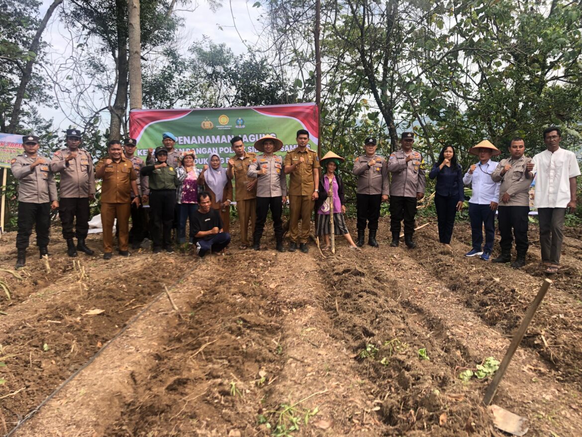 Kapolsek Sibolga Sambas Dan Instansi Terkait, Tanam Jagung Perkuat Ketahanan Pangan Nasional