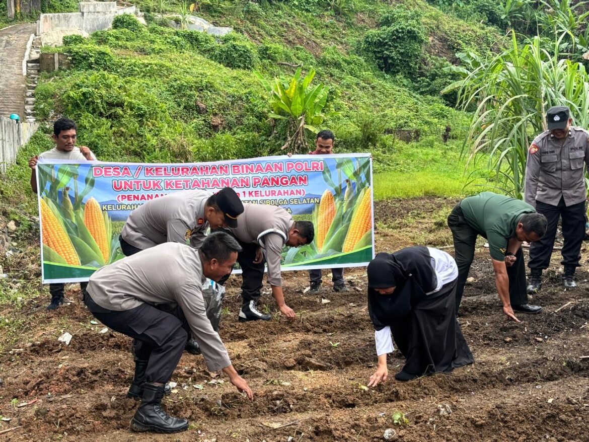 Tanam Jagung Ketahan Pangan Polres Sibolga Dukung Ketahanan Pangan Program Presiden RI