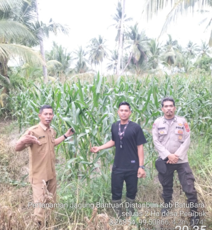 Dukung Asta Cita Polsek Lima Puluh Cek Lahan Ketahanan Pangan